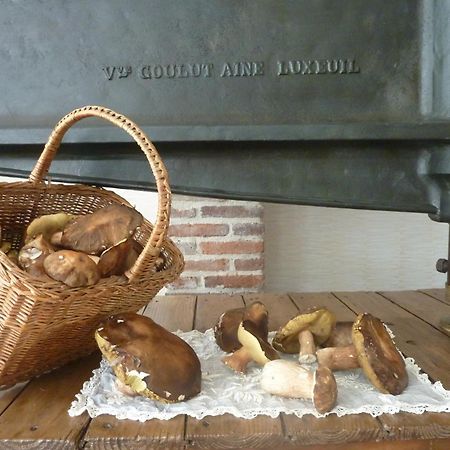 Domaine De La Tannerie Chambres D'Hotes Et Appartements Prades  Zewnętrze zdjęcie