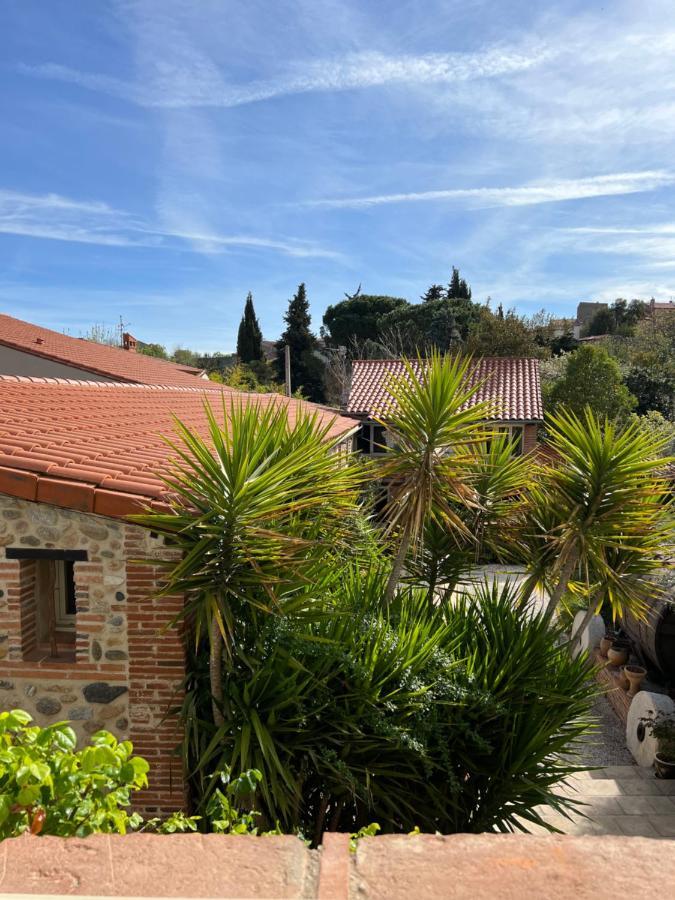 Domaine De La Tannerie Chambres D'Hotes Et Appartements Prades  Zewnętrze zdjęcie