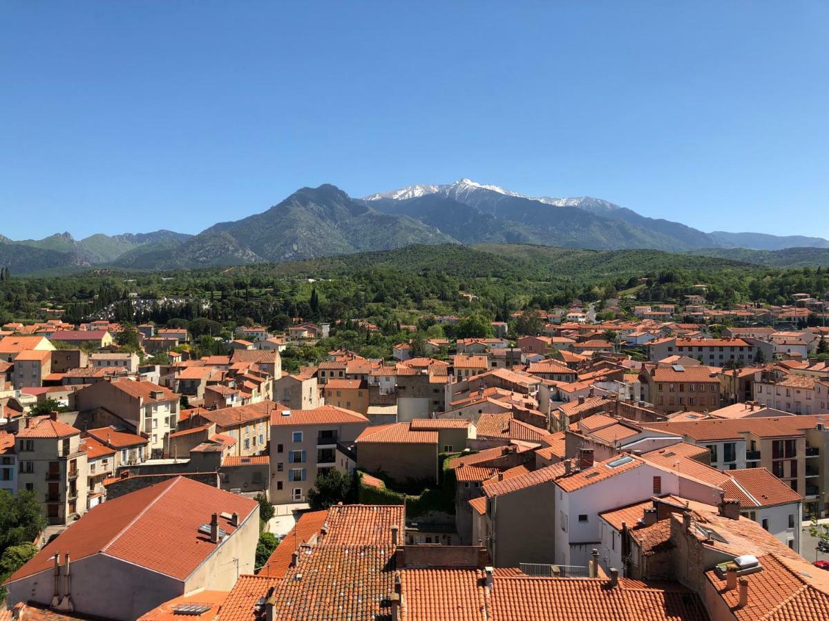 Domaine De La Tannerie Chambres D'Hotes Et Appartements Prades  Zewnętrze zdjęcie